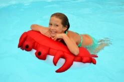 30" Sandy Seaside Rider Stuffed Floating Crab Swimming Pool Pillow -Aqua Play Land Zone 305593203 52211.1667678698