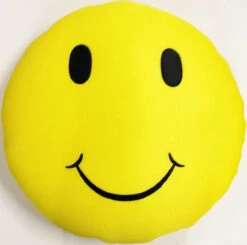 26" Happy Smiley Face Floating Swimming Pool Pillow