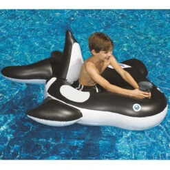60" Inflatable Black And White Orca Whale Squirter Swimming Pool Float -Aqua Play Land Zone sldsoensg1ytujhuozeuulgnv0j2d9pc 11322.1688051935